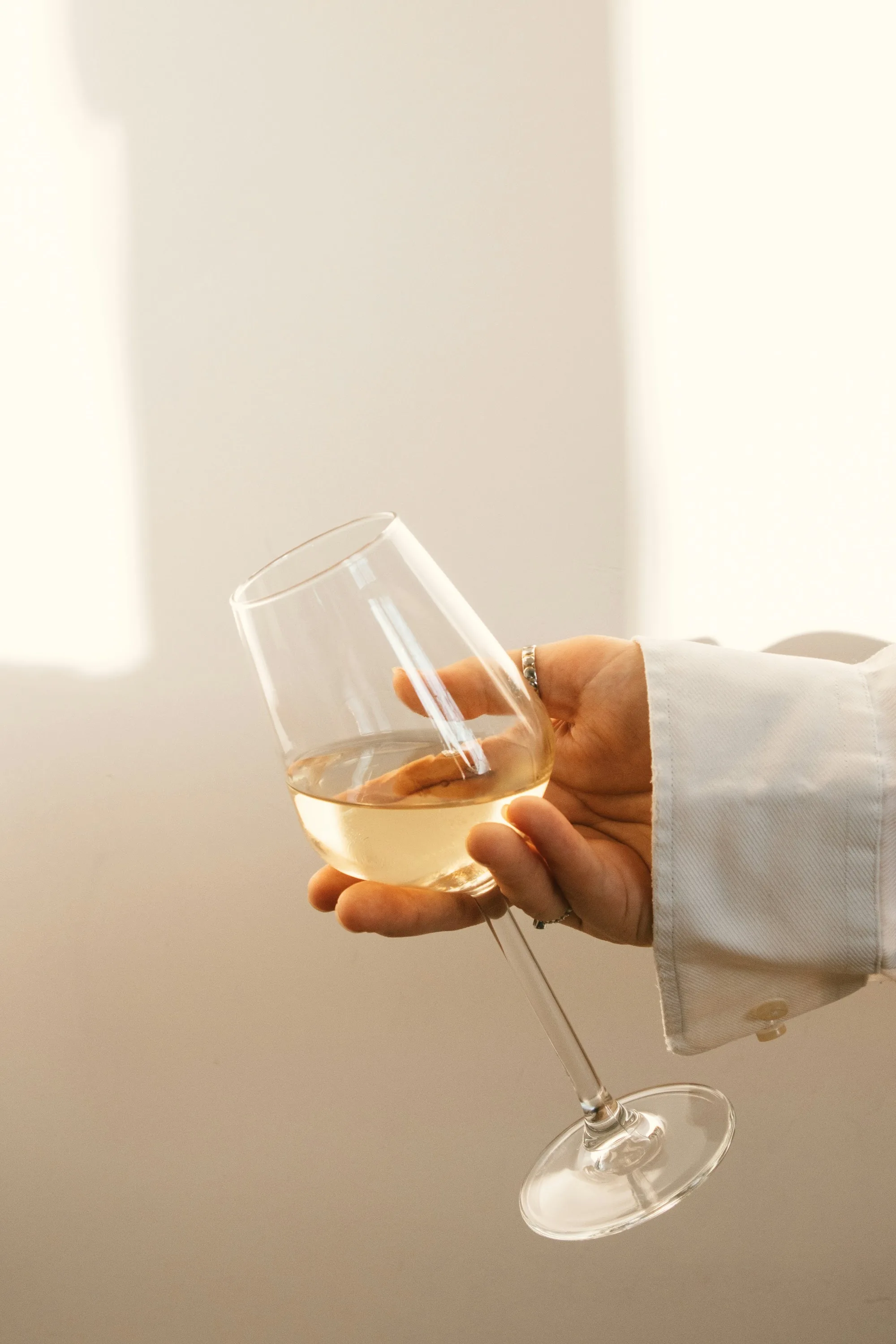 Ein Glas istrischer Malvazija Weißwein zwischen den Reben