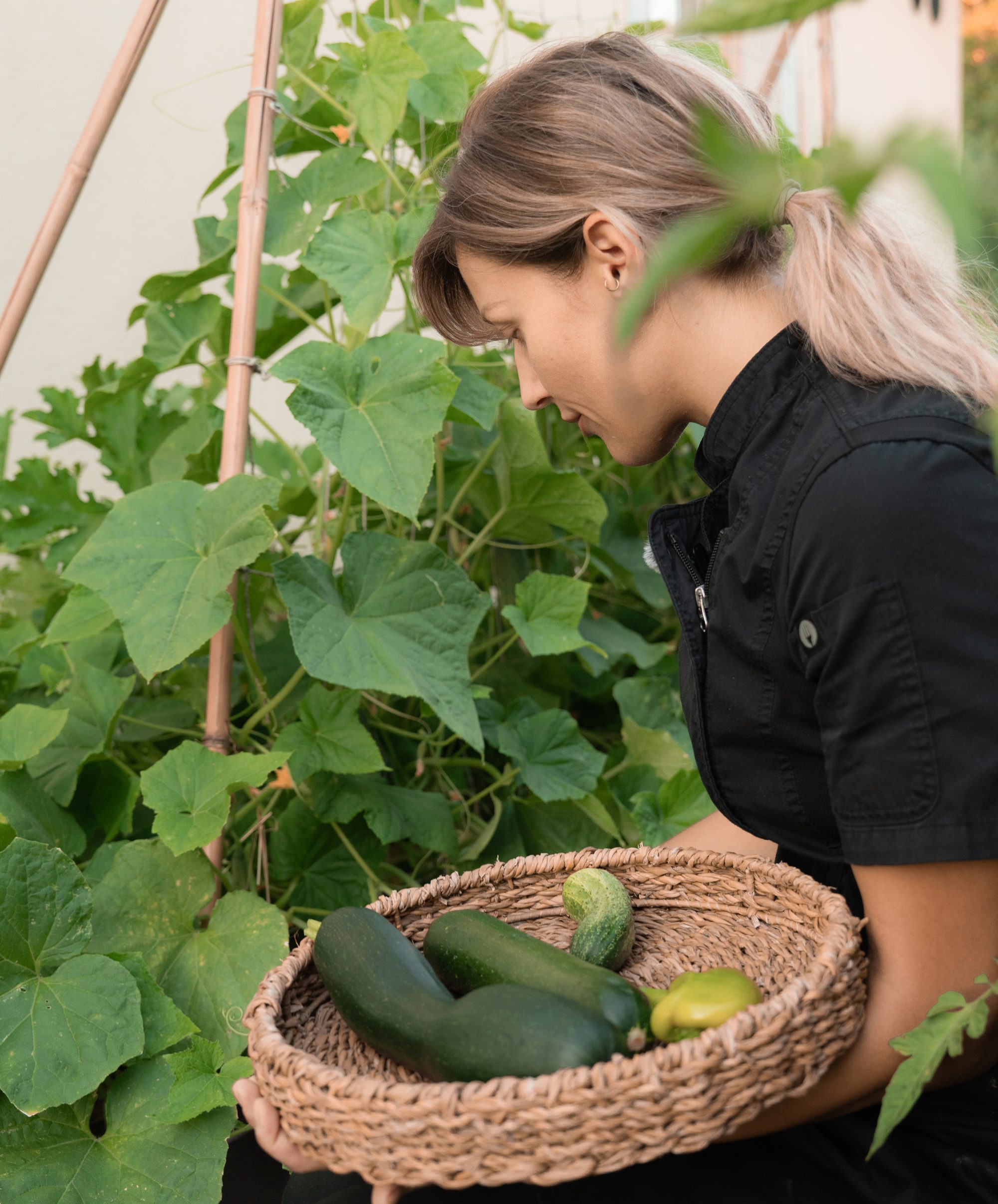 Vegetables gathered from the kitchen garden in a basket at LaMaison