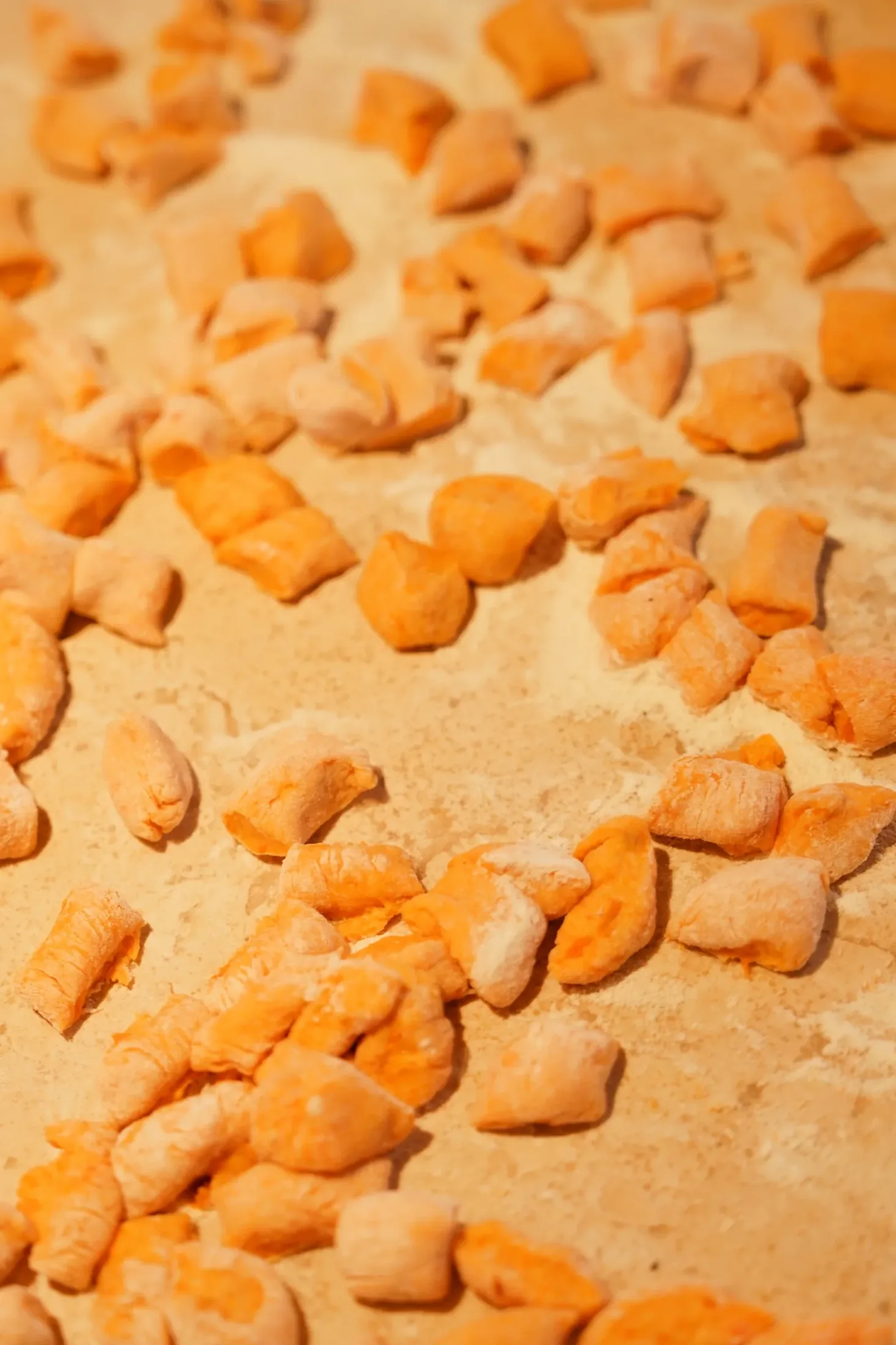 Rows of freshly shaped gnocchi resting on a floured surface