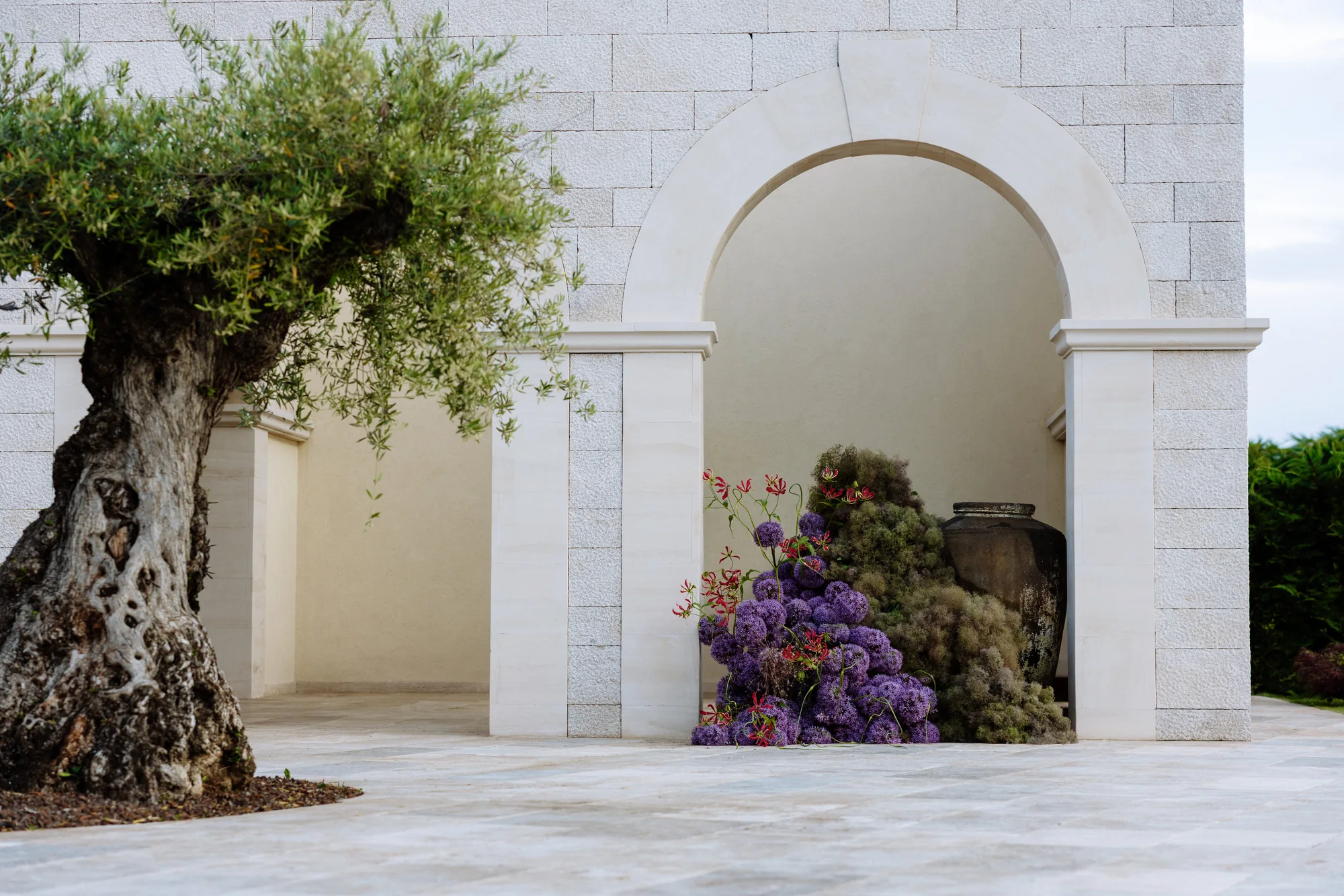 An old olive tree beside a stone archway at LaMaison, dressed with flowers for a private celebration in inland Istria